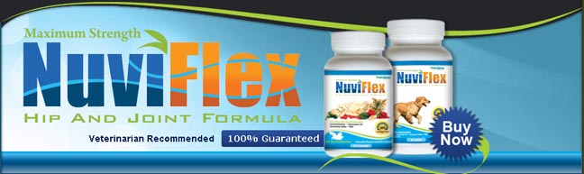 Olympus Brands, Inc. Announces a Product Name Change From LubraFlex to NuviFlex Effective July 6th, 2010